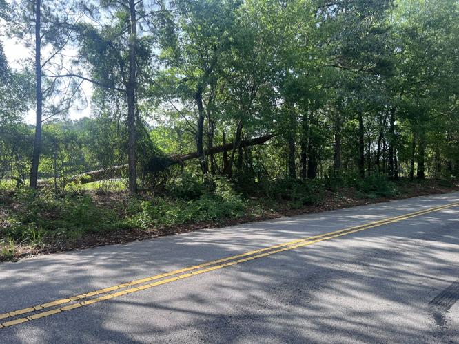 Severe storms cause power outages in Columbia area