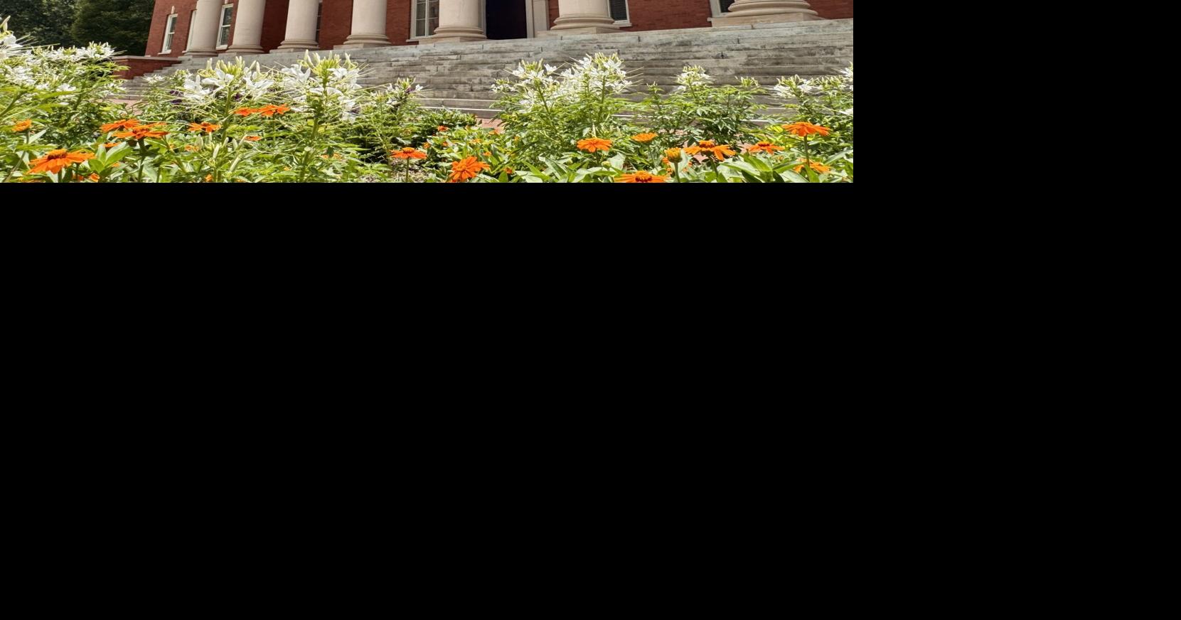 Clemson's presidential do-over prompts new questions about search transparency and state law
