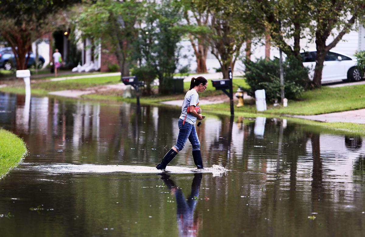 wolk drive 1 tuesday after irma.jpg