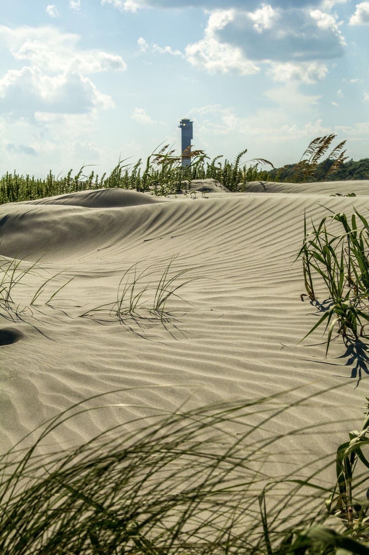 dunes in Sullivan’s Island