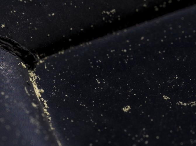 pc-032425-ne-allergyhell01