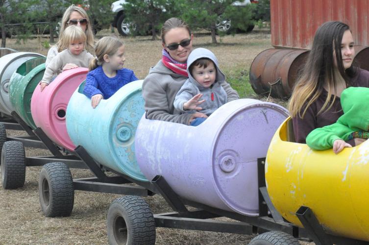 A Lebanon family tradition Christmas tree farm one of the last of its