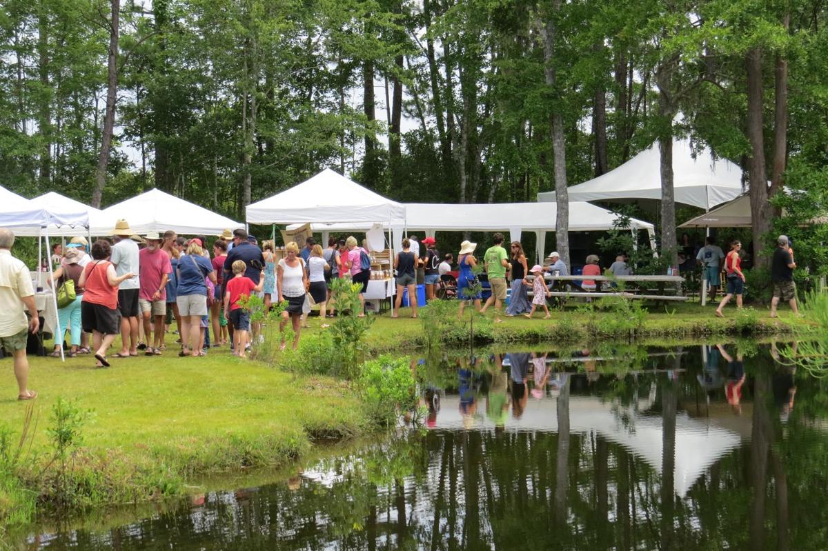 Lowcountry Blueberry Jam & Blueberry Festival in McClellanville