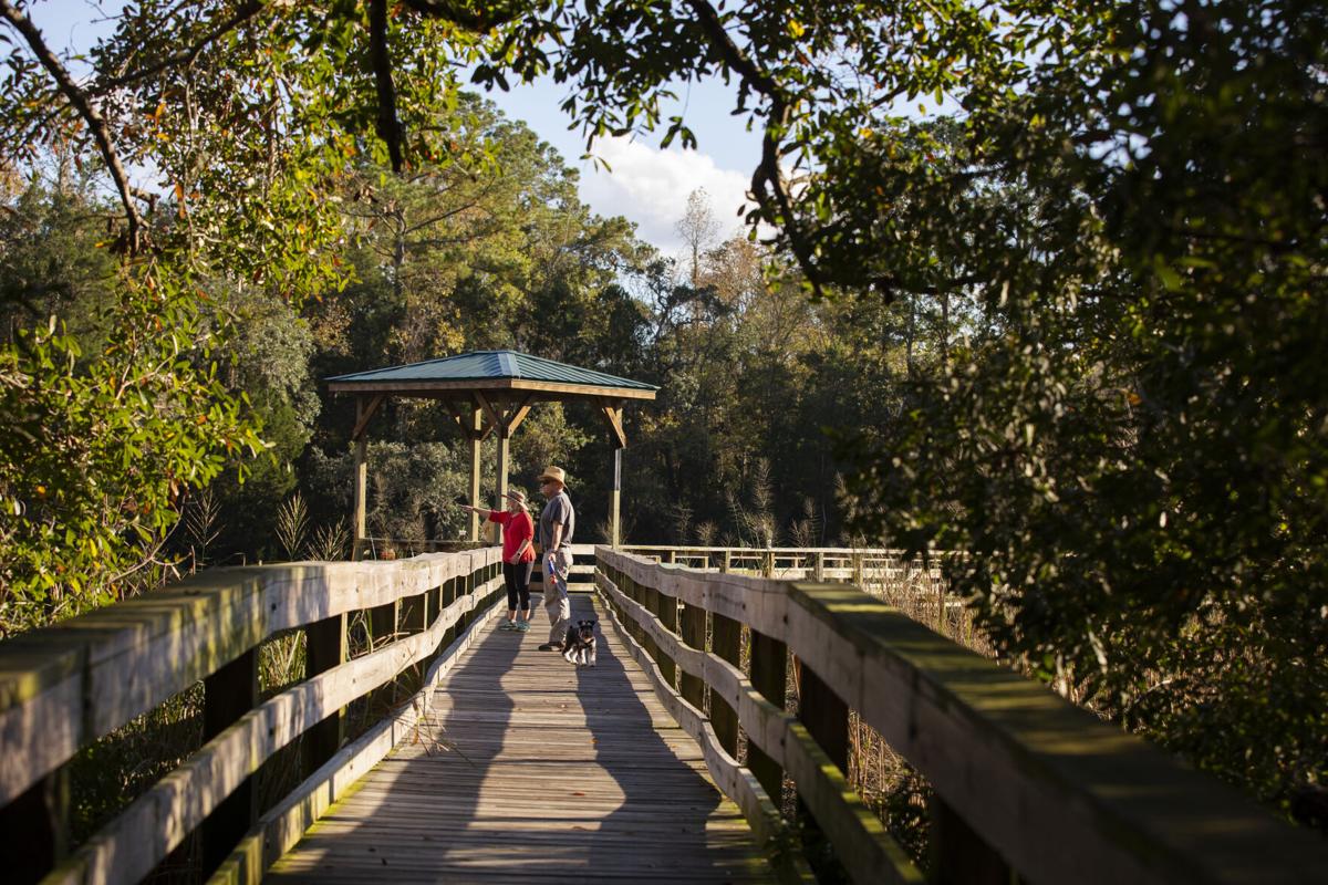 Summerville And Dorchester County To Build 2 Separate Parks Along The Ashley River News Postandcourier Com