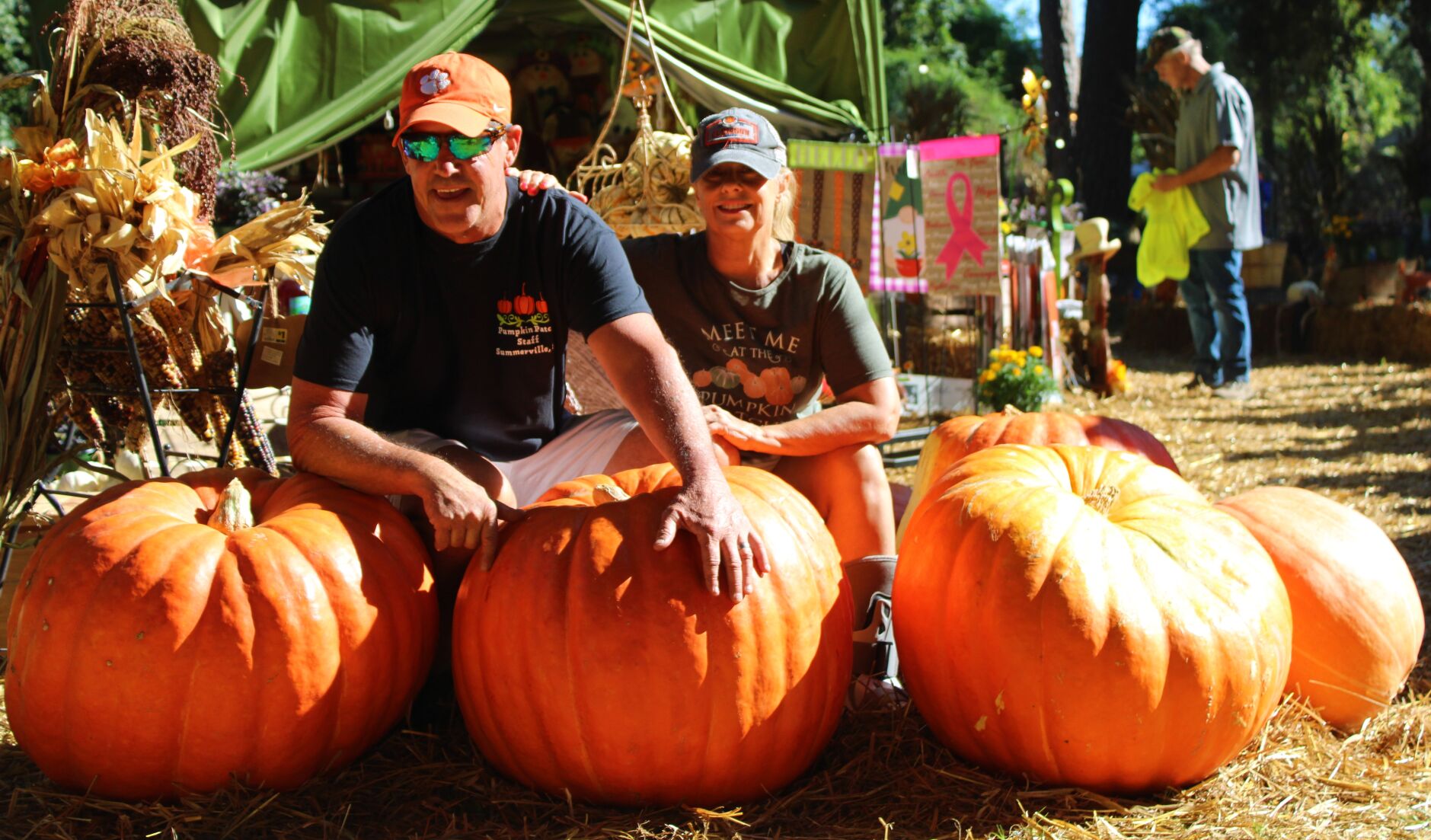 paradise pumpkin patch