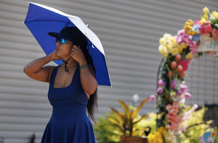 Mount Pleasant resident decorates her house for all seasons