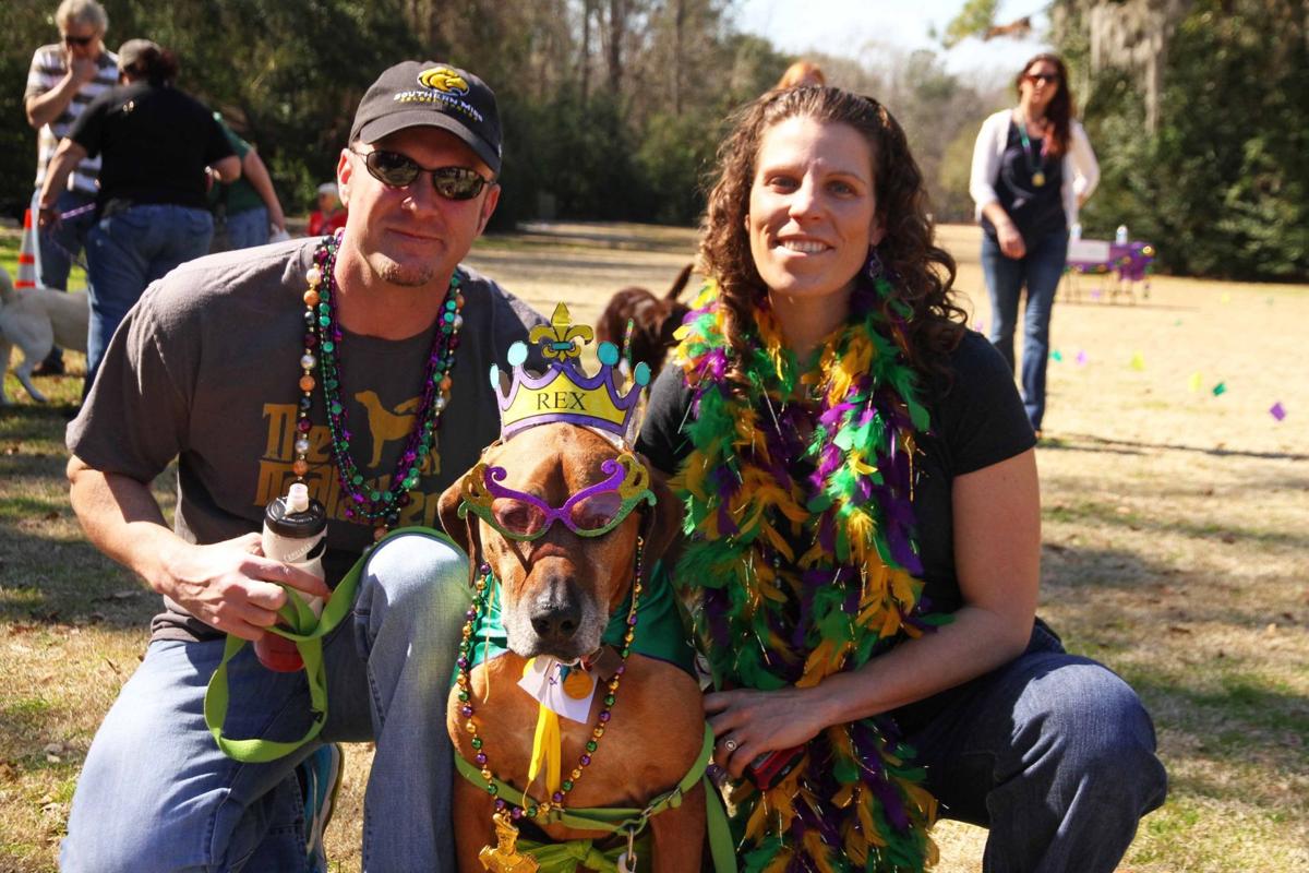 Mardi Gras Pawrade