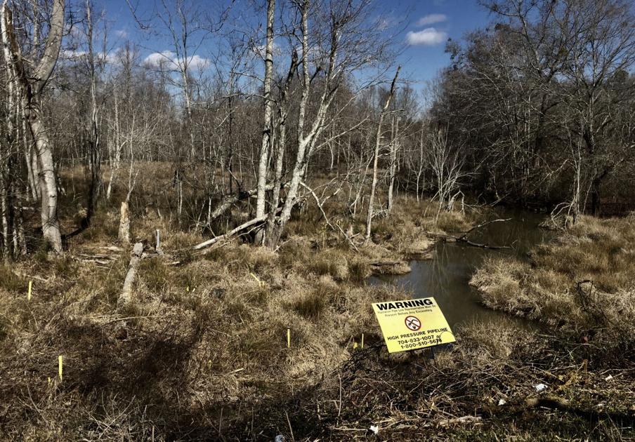 Environmental groups win $1.5 million settlement in Plantation Pipeline spill case - Charleston Post Courier