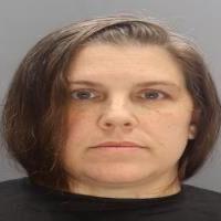Animal rescue group director arrested after 30 dead dogs, cats found in ...