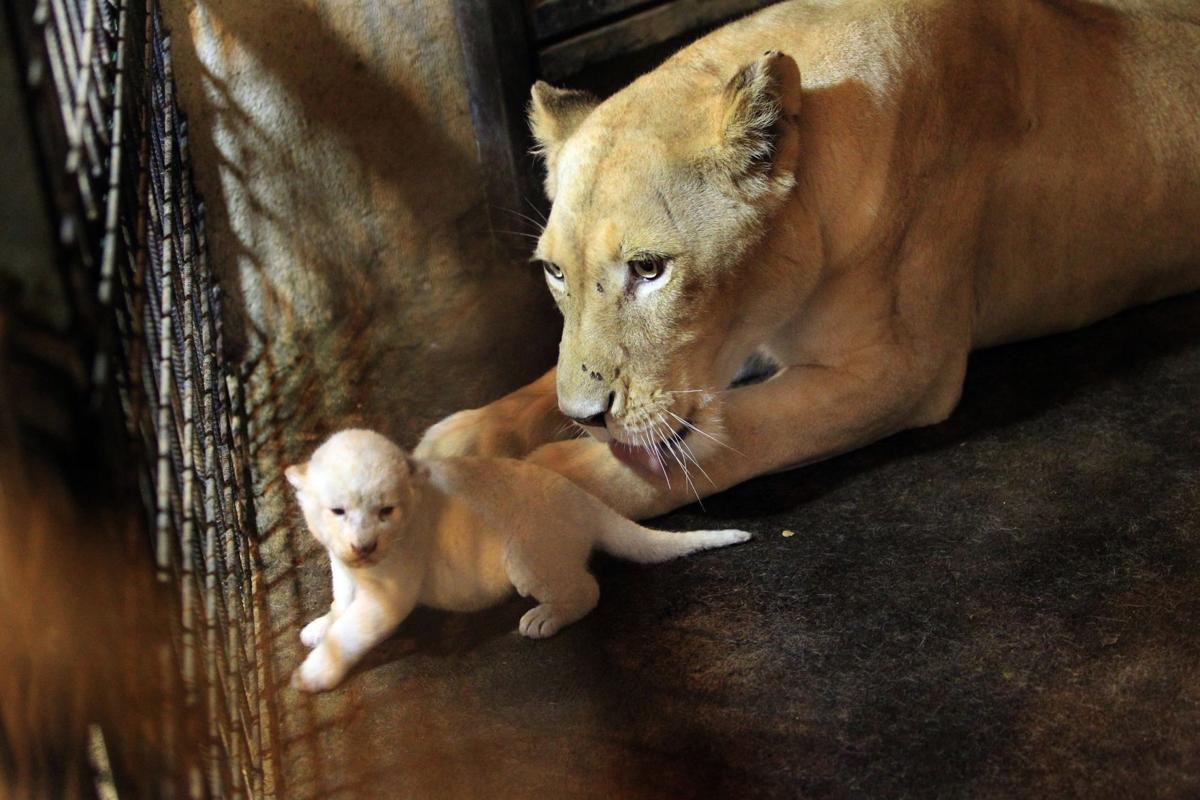 Editor's picks: Top photos from around the world