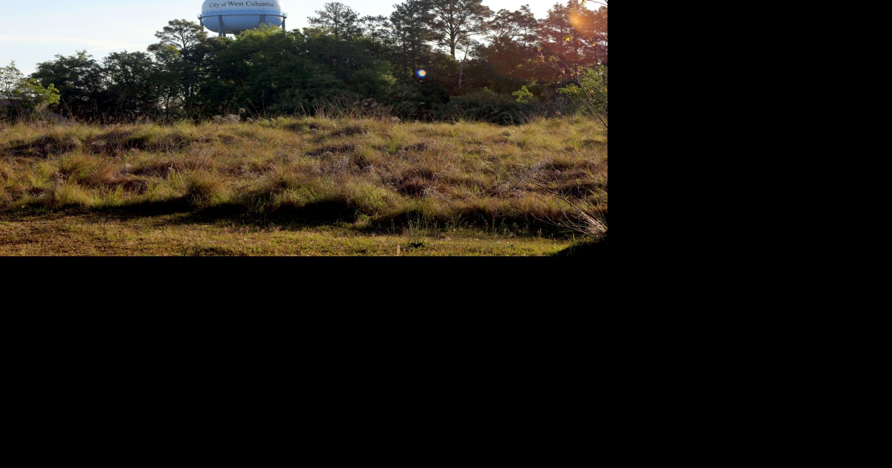 West Columbia hospital, school district eye real estate swap for future development and new school