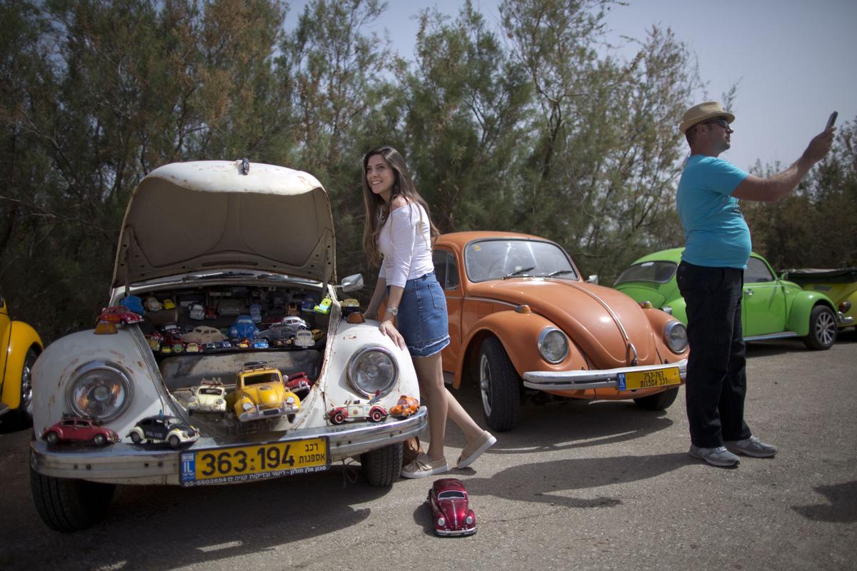 Israel Beetle