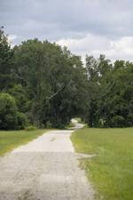 Land_Mark Anders Ravenel Artifacts_08.JPG