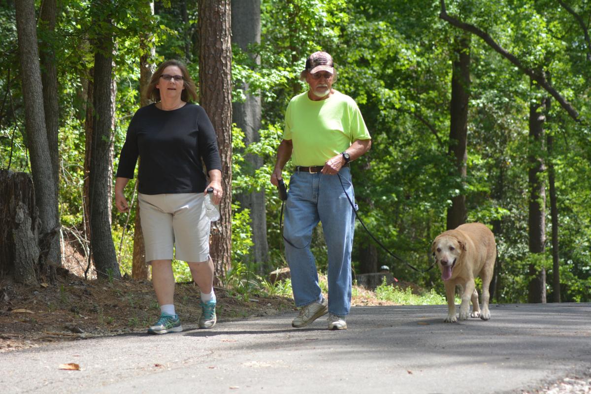 Man Scolds Aunty For Letting Dogs Play On Public Playground's