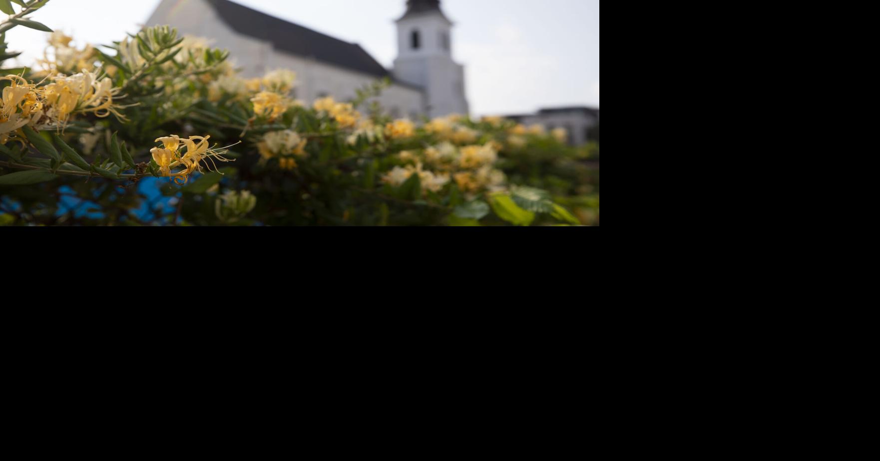 Charleston Lit Fest author, Pulitzer Prize winner gets finalist placement for Mother Emanuel book