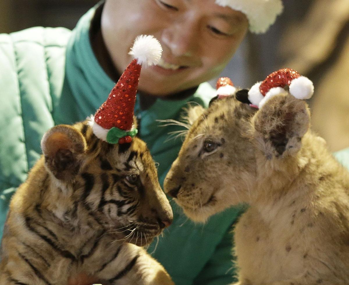 Gallery: Spirit of Santa around the world