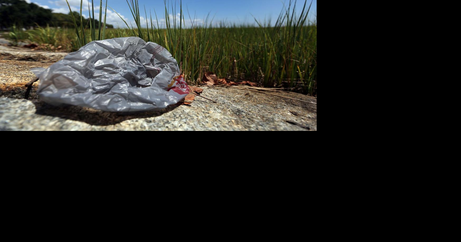 Plastic bags can quickly suffocate pets Features