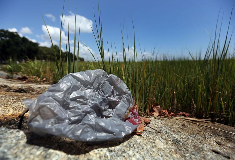 Plastic bags can quickly suffocate pets Features