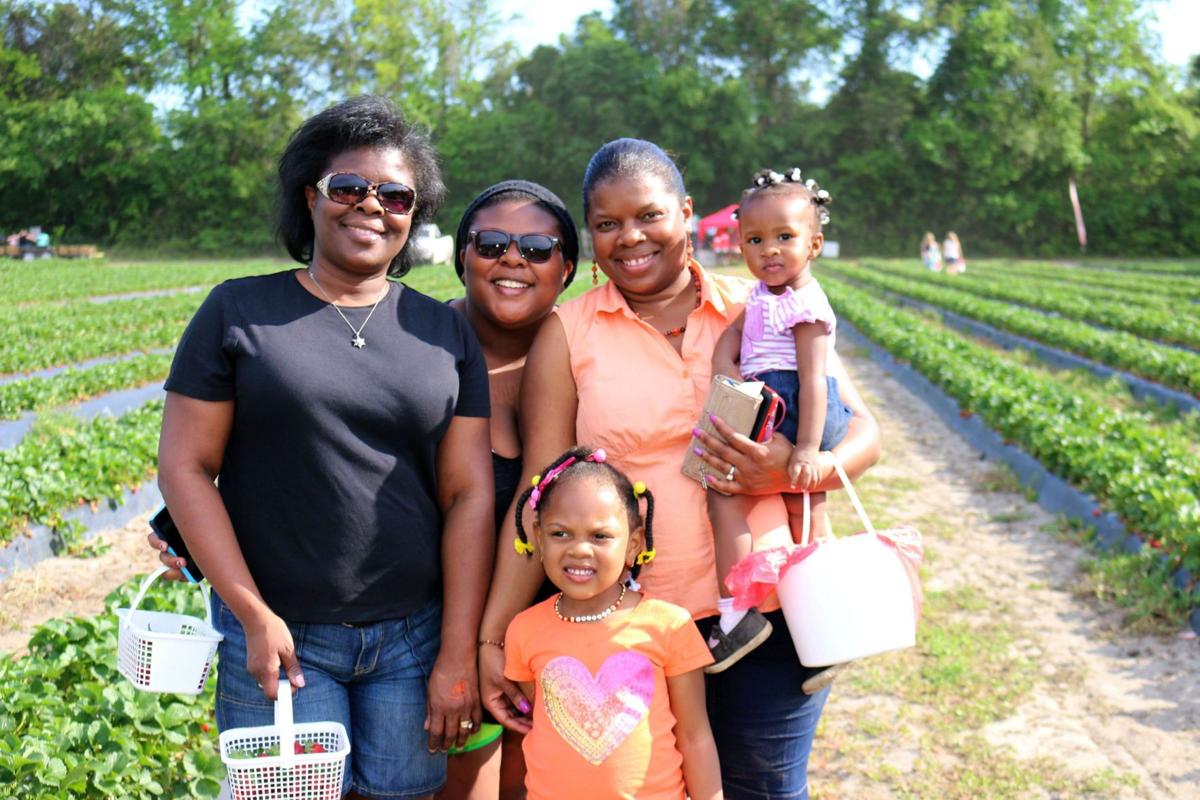 Lowcountry Strawberry Festival at Boone Hall
