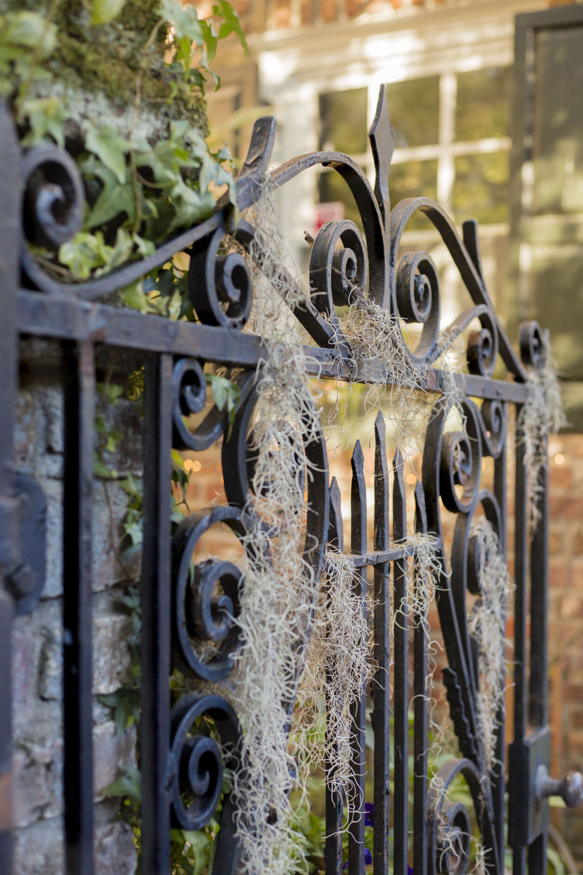 Maria-Spinosa Gates.JPG