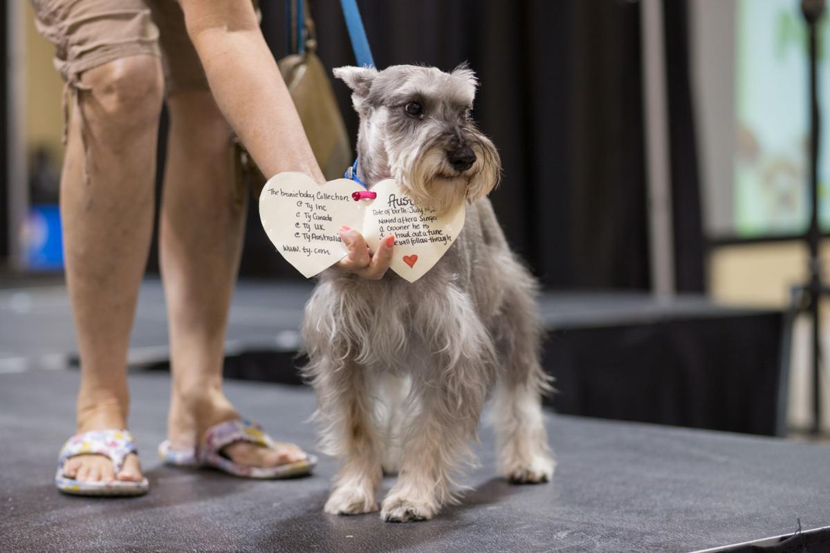Pet Expo-October 14, 2017-573