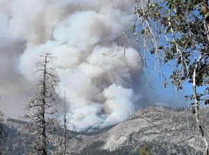 A fast-growing wildfire burning in a remote section of Yosemite National Park has expanded to more than 1,100 acres, fire officials say.
