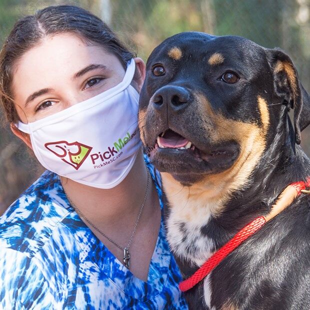 Charleston Animal Society Announces 1 Million Challenge To Make Sc A No Kill State News Postandcourier Com