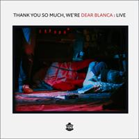 Music Review: Fresh indie rock from SC acts Dear Blanca, melon in, Cicala