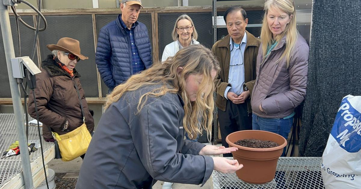 Charleston's greenhouses bring color and spark joy in city parks. They need volunteers to help grow.