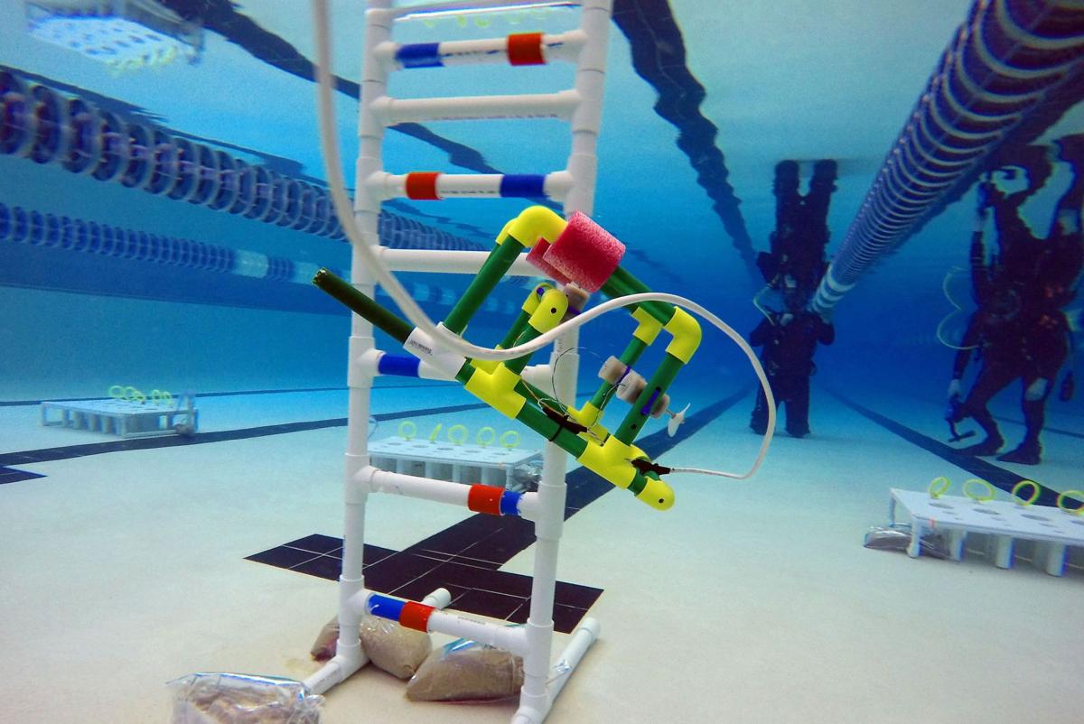 Underwater Robots