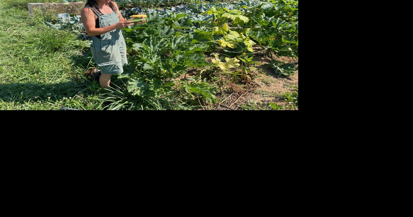 Spartanburg's Wild Roots Farm making a difference in food Spartanburg