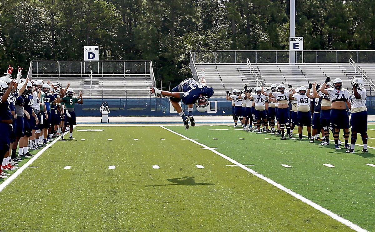 CSU New Turf