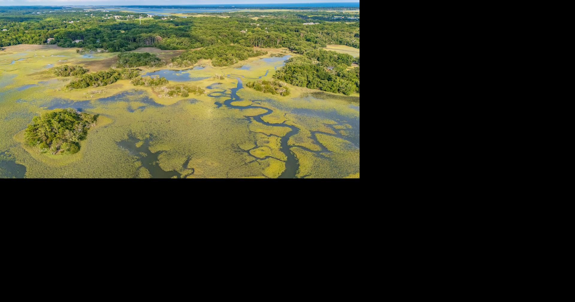 Charleston conservation groups outline preservation goals that would use transportation tax funds