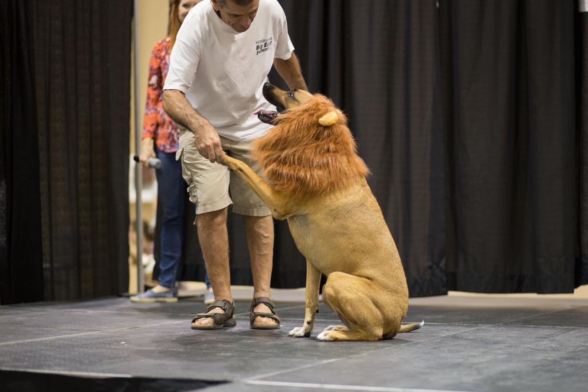 Pet Expo-October 14, 2017-602