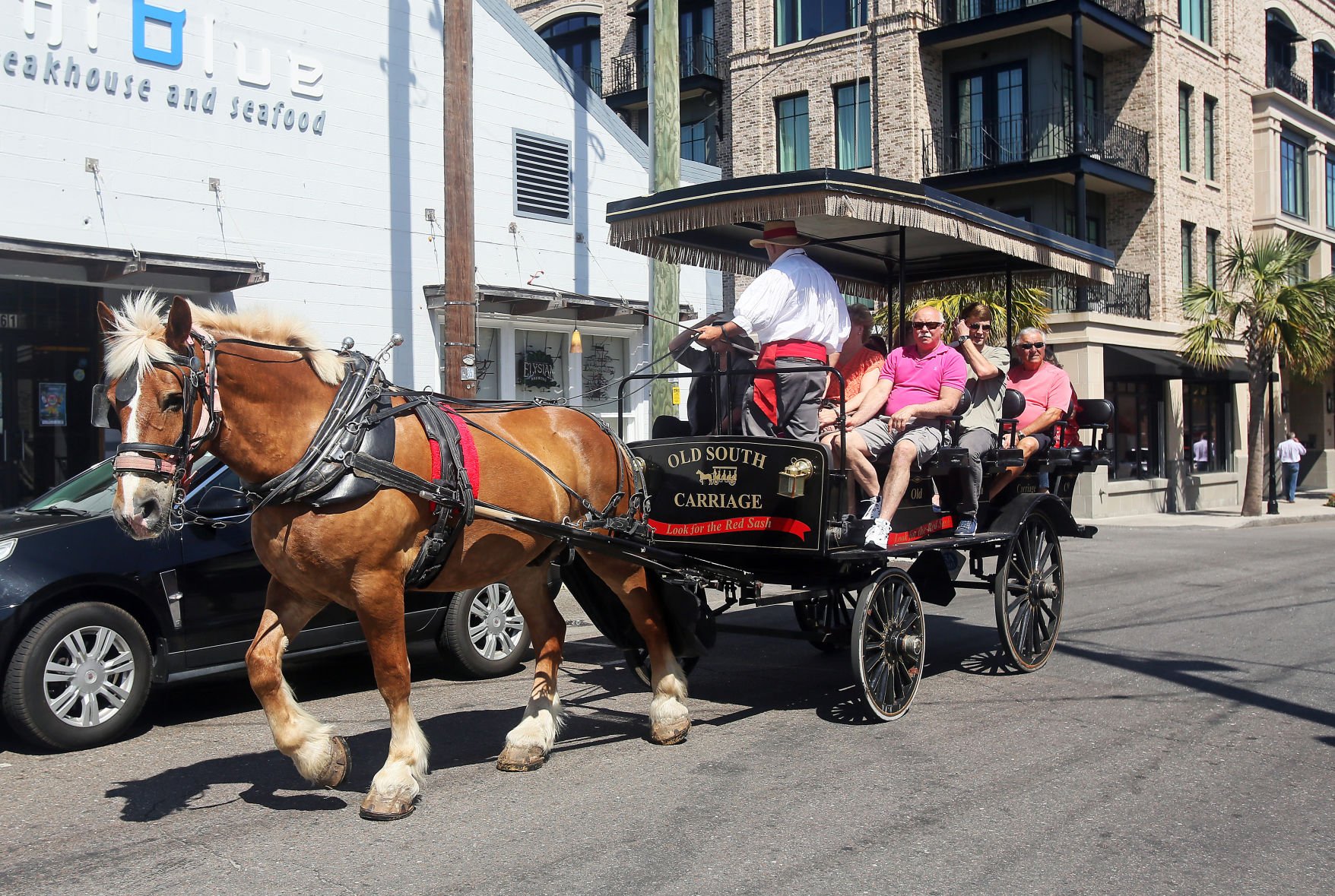 Old south hot sale carriage rides