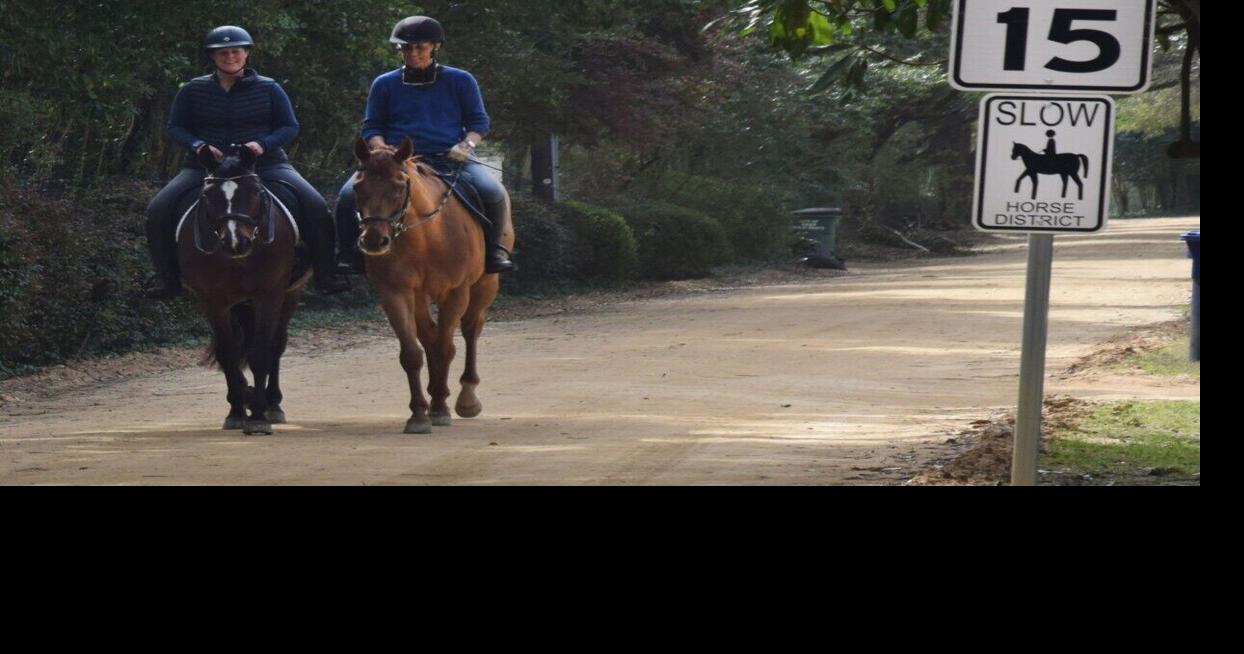 Edgefield County has 240 acres of old farmland. It might have potential to support equine, hiking trails.