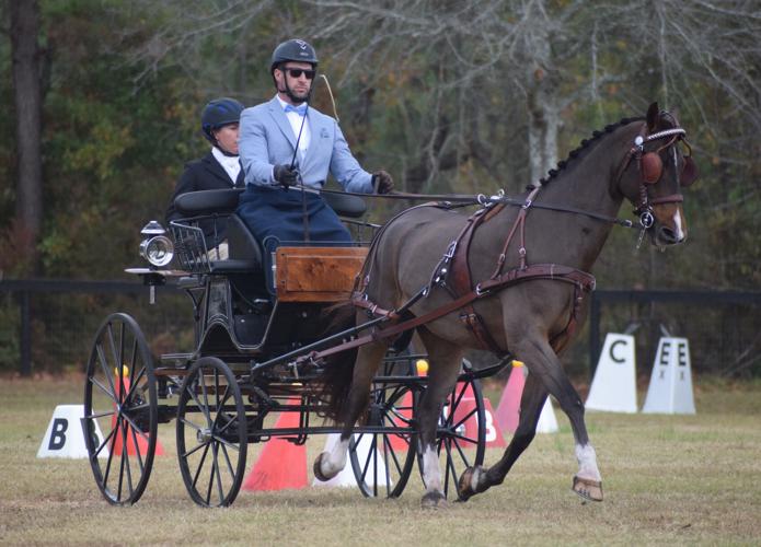 North Carolina resident, with ties to Aiken area, among standouts in Windsor carriage driving competition 1