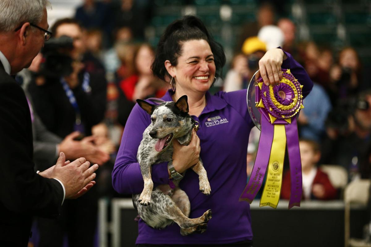 Westminster Kennel Club Dog Show