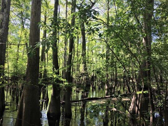 $ 5 million in donations to 5 river systems in South Carolina News