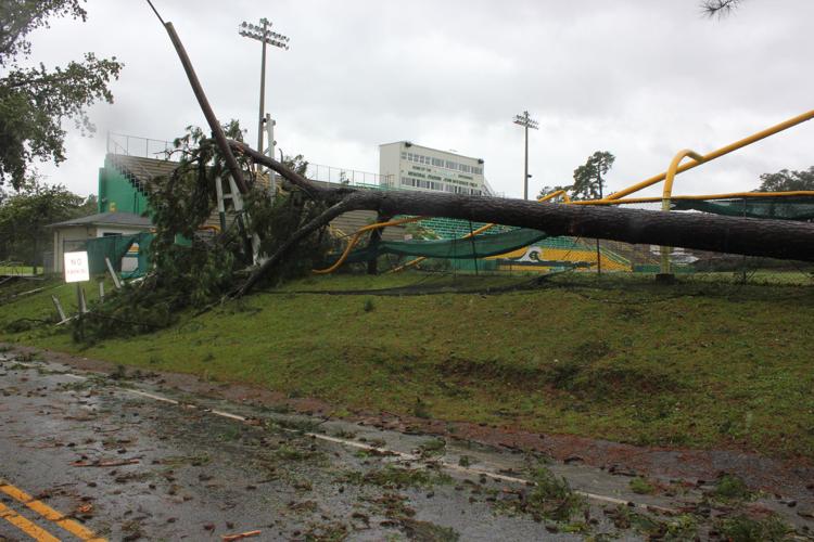 Dorian damages downs trees, powerlines throughout area