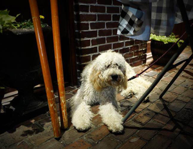 Taste of the Town Hammond's Ferry Larder reflects the character of