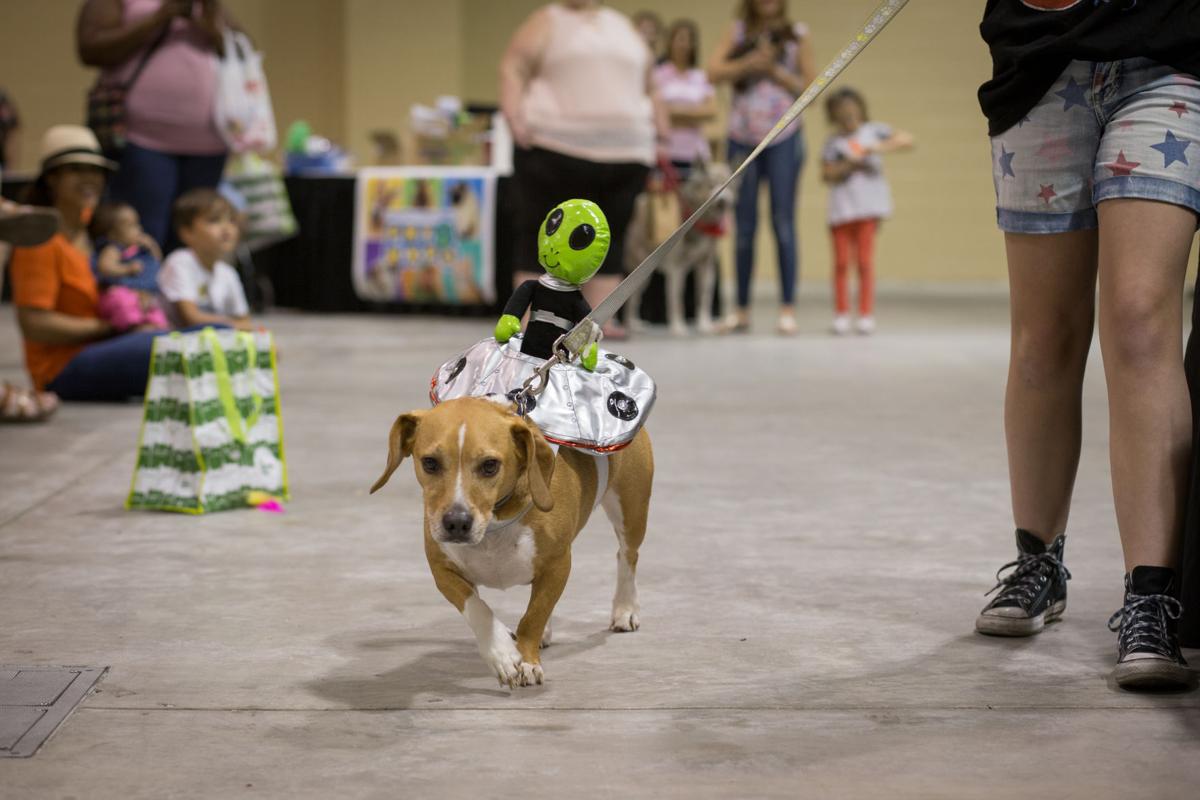 Pet Expo-October 14, 2017-928