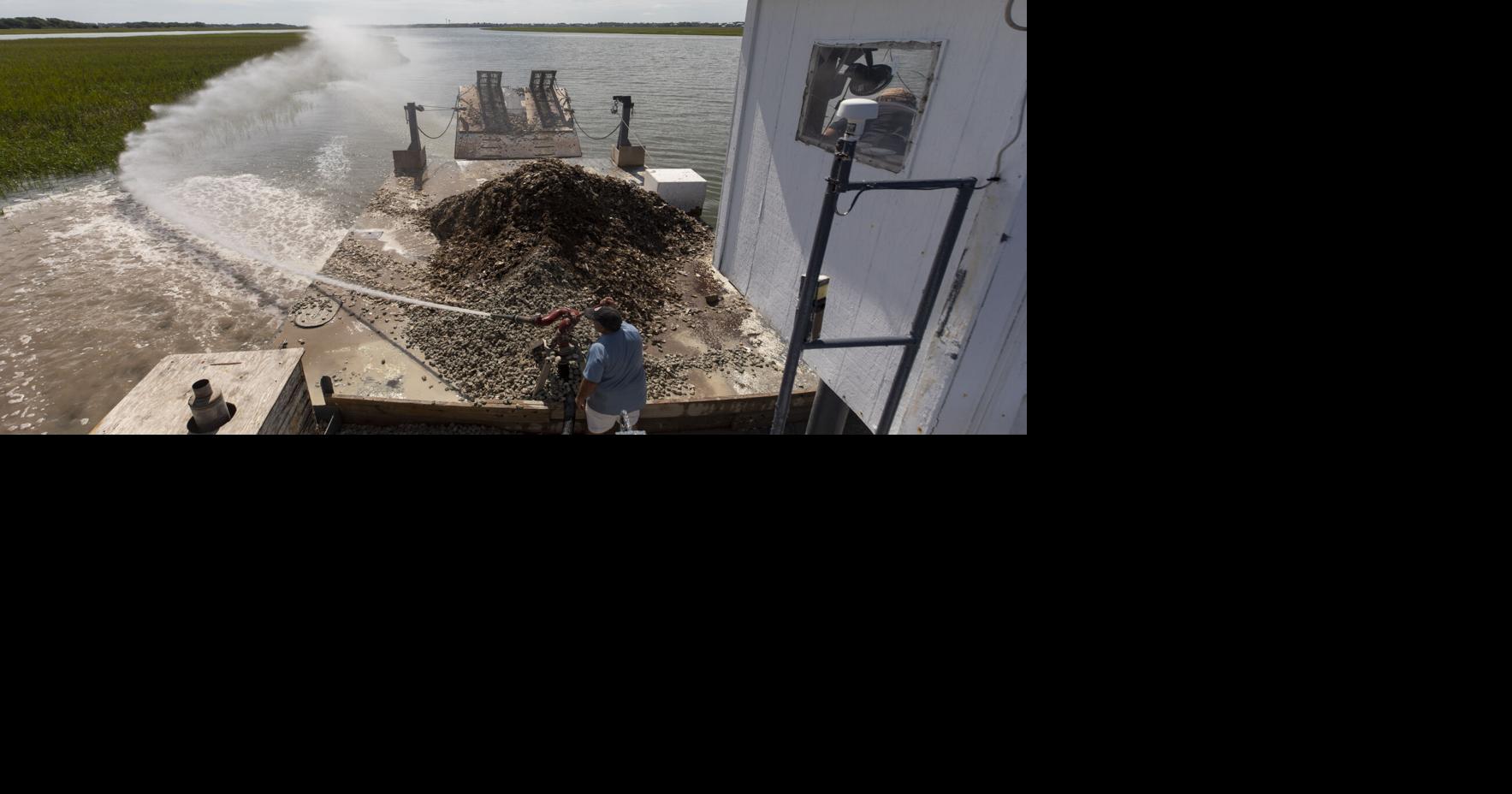 Photos: Festivals, restaurants, and state initiatives keep oyster beds ...
