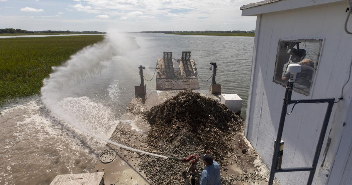 Photos: Festivals, restaurants, and state initiatives keep oyster beds ...