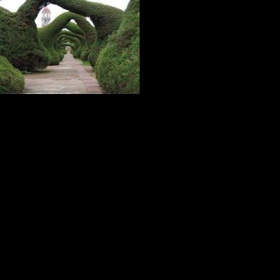 Reader photo pick of the week: City gardens