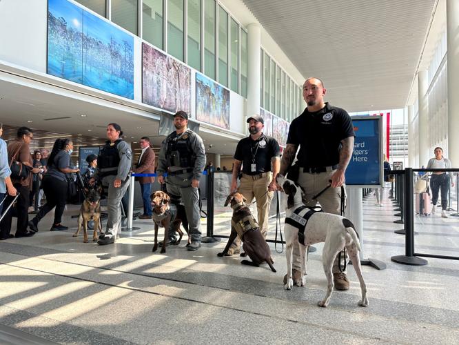 se permiten perros en el aeropuerto de charleston