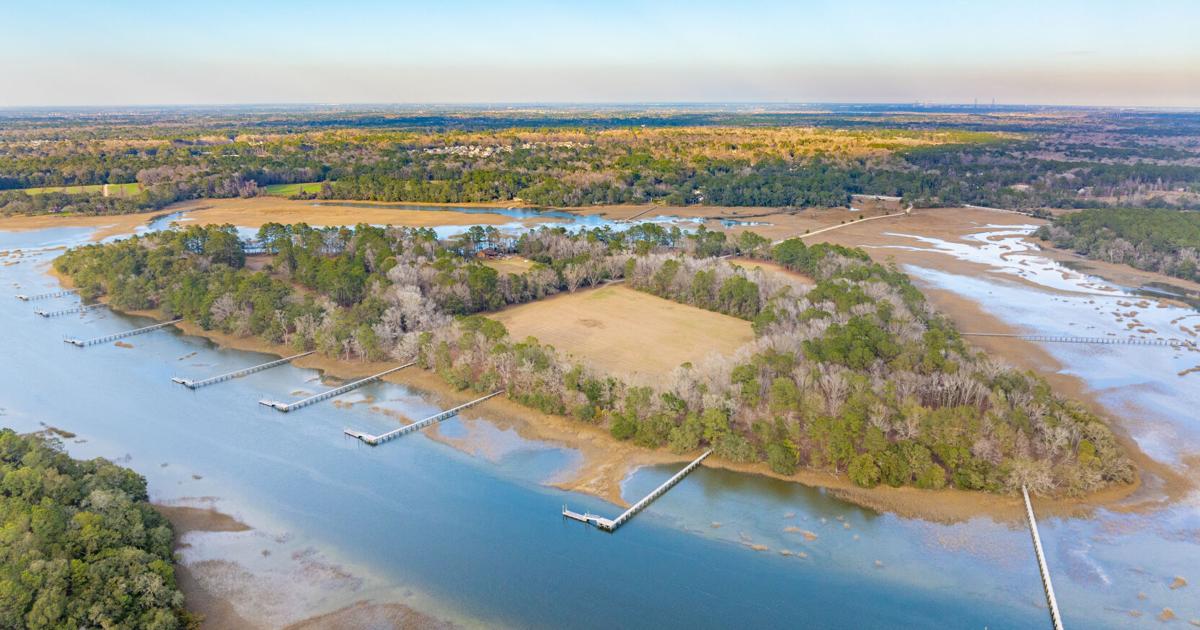 This undeveloped island in South Carolina will welcome 10 new families in ...
