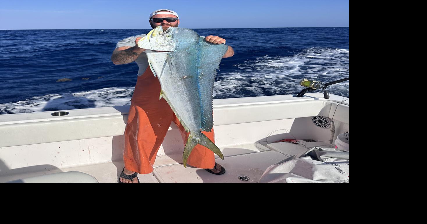 Find the weedlines and you'll find the dolphin