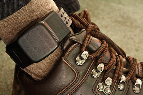 This Clearwater company is selling ankle monitors to parents with problem  teens | wtsp.com