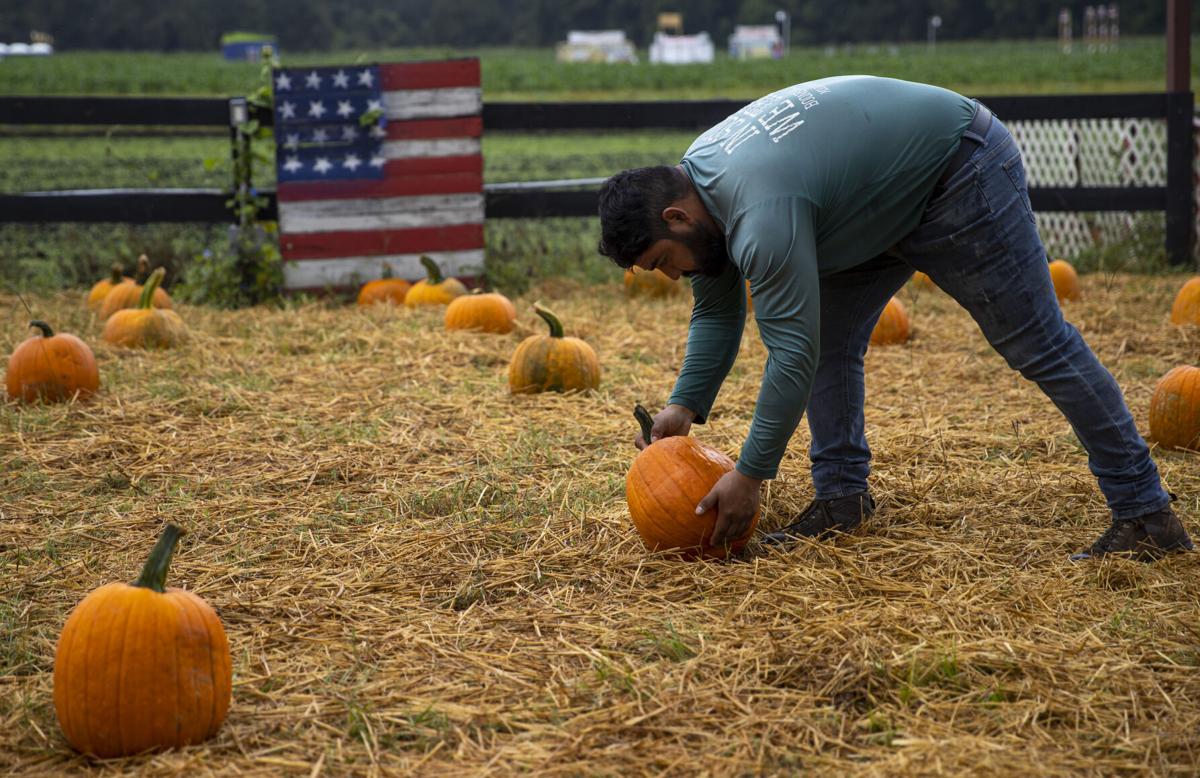 Pumpkin Partch10 ONLINE ONLY.JPG